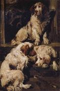 Chumber Spaniels John emms